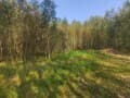 земля под ИЖС, 13.11 га