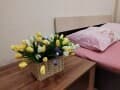Сдается однокомнатная квартира, 35 м², этаж 1 из 1. Фото 7