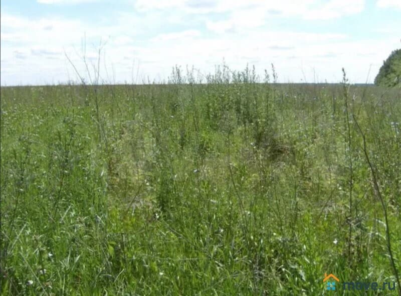 земля с/х назначения, 8.87 га