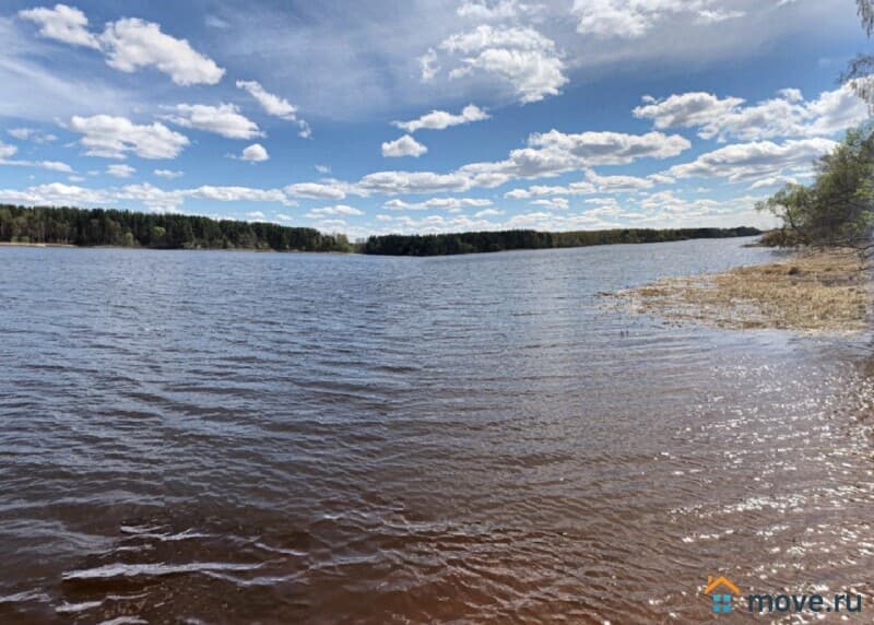 земля с/х назначения, 0.98 га