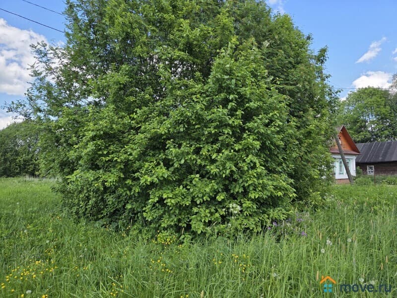 земельный участок, 38 соток
