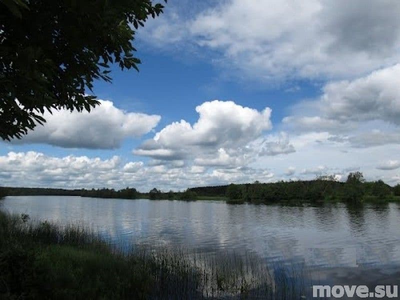 земля с/х назначения, 1.6 га