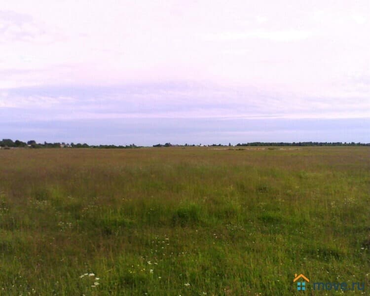 земля с/х назначения, 6.5 га