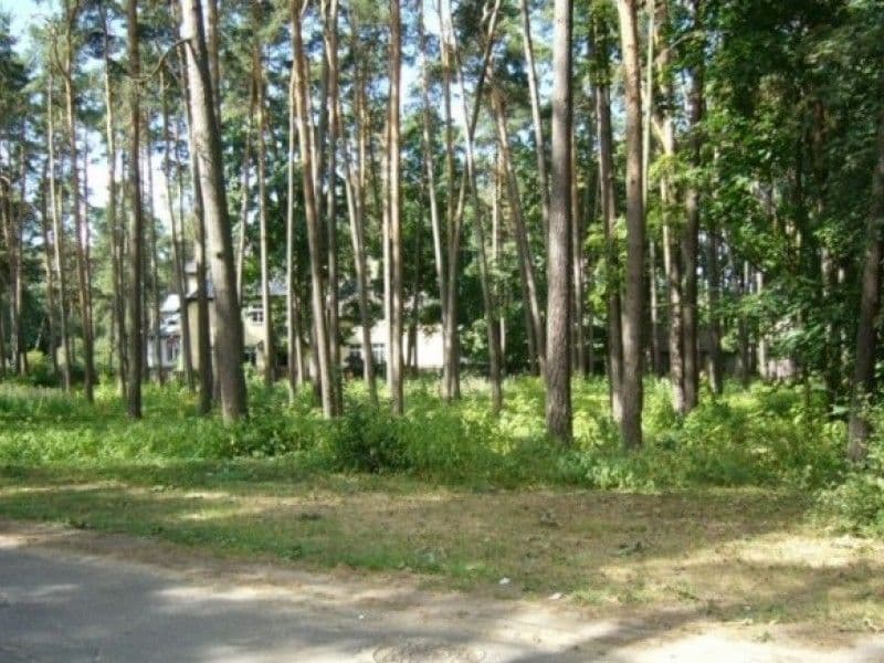 земельный участок, 29 соток