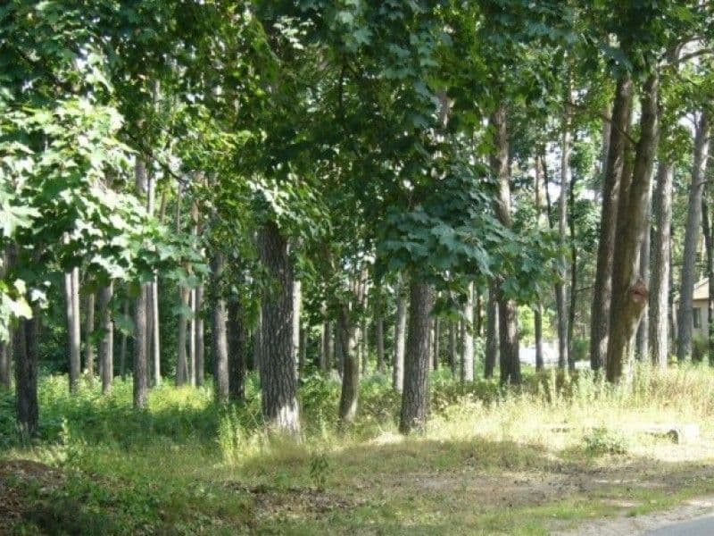 земельный участок, 29 соток