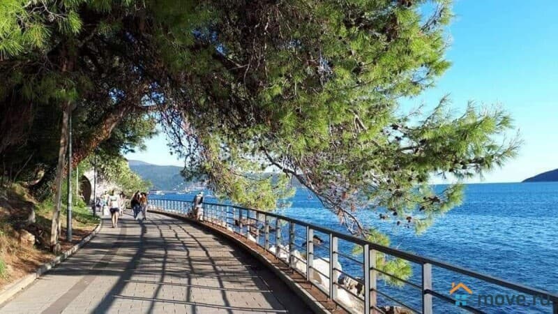свободного назначения, 26 м²