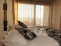 Продам гостиницу, 850 м². Фото 33