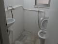 свободного назначения, 250 м²