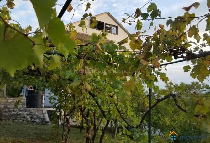 гостиница, 524 м²