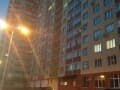 студия, 50 м²