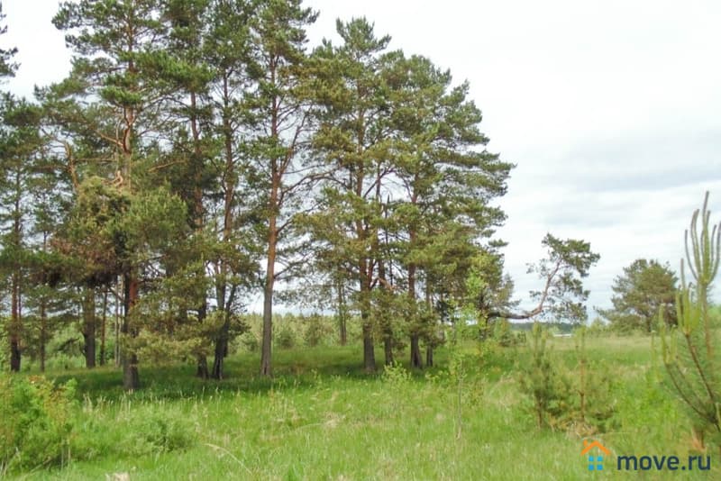 земля с/х назначения, 2.17 га