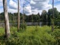 Продам земельный участок, 1.1 га. Фото 14