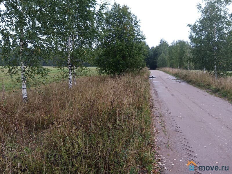 земля с/х назначения, 9.3 га