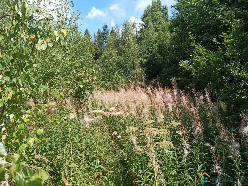 земля под ИЖС, 1.91 га