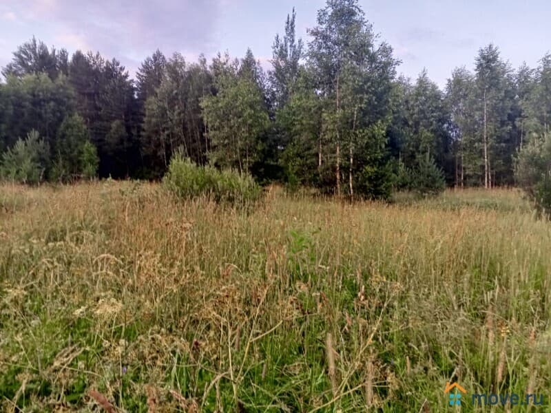 земля под ИЖС, 24 сотки