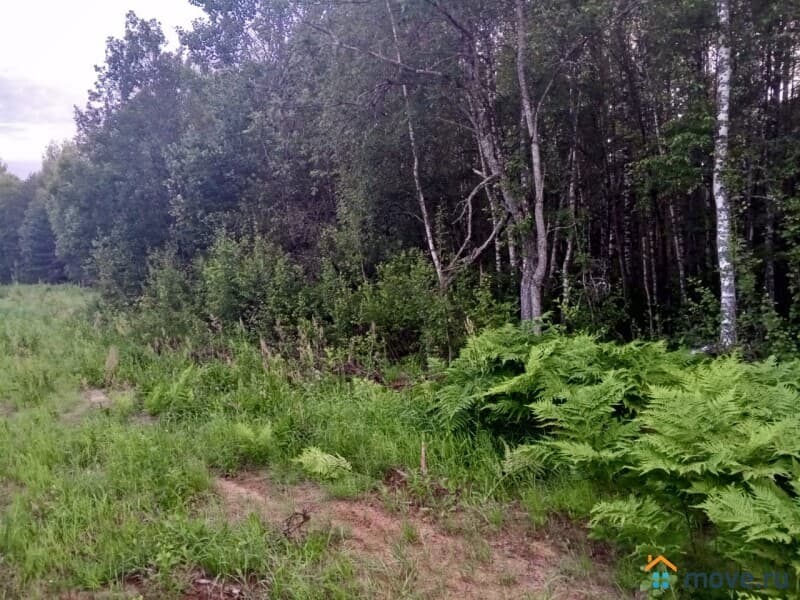 земля под ИЖС, 24 сотки
