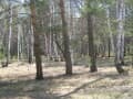 Продажа земли с/х назначения, 47 соток. Фото 2