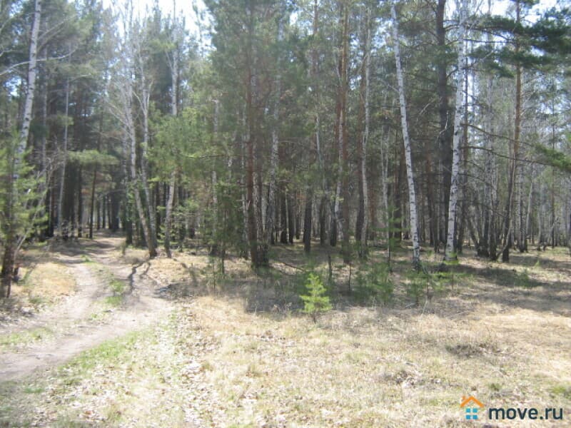 земля с/х назначения, 48 соток