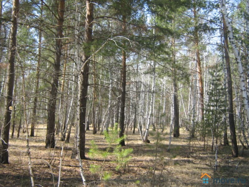 земля с/х назначения, 48 соток