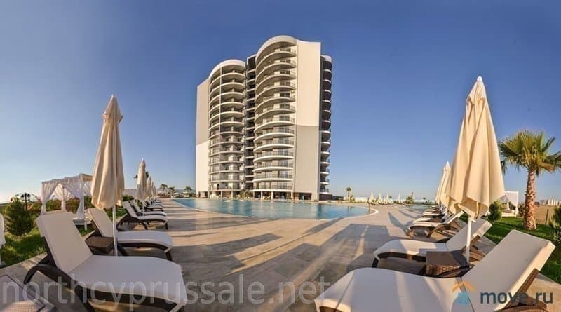 студия, 57 м²