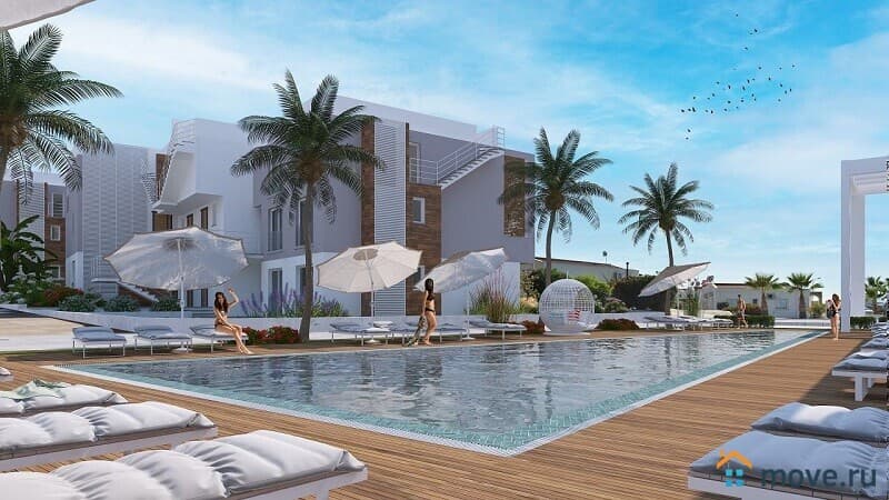студия, 55 м²