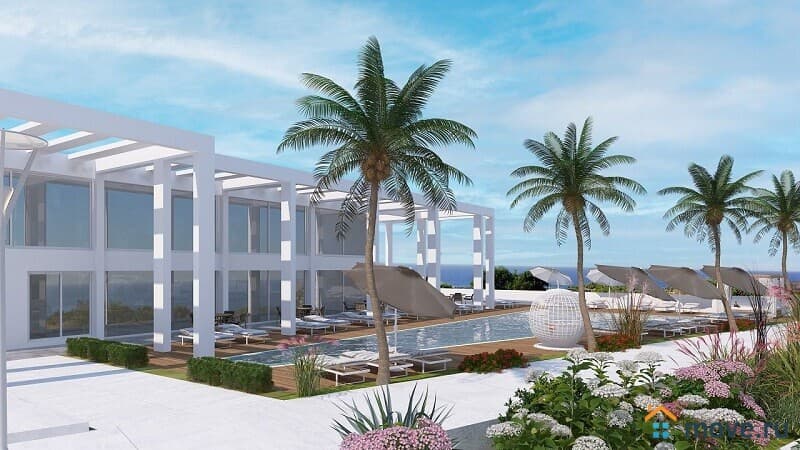 студия, 55 м²