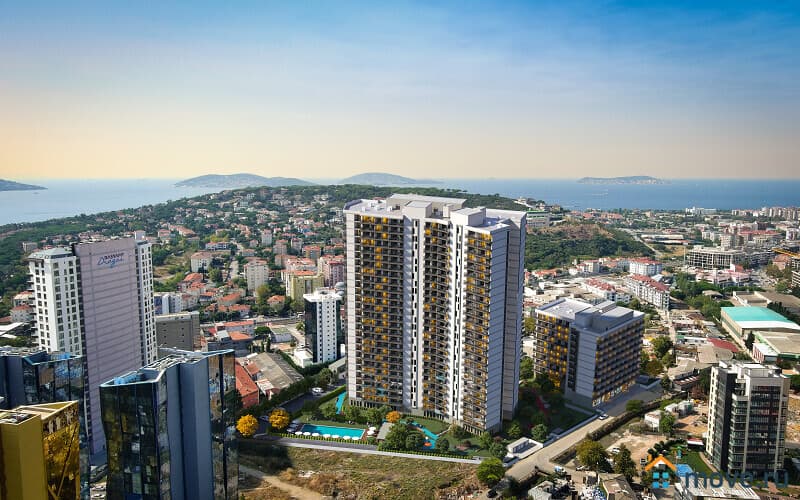 студия, 50 м²