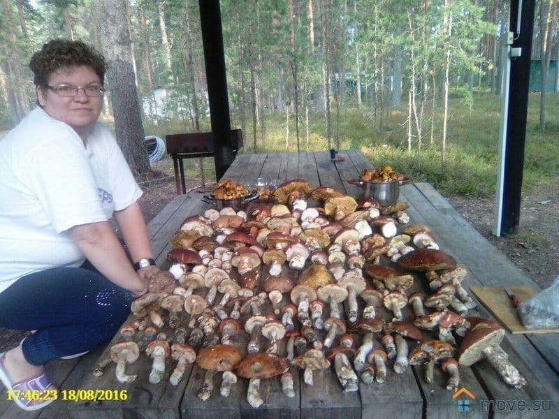 дом, 60 м²