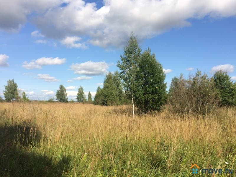 земля под ИЖС, 45 соток