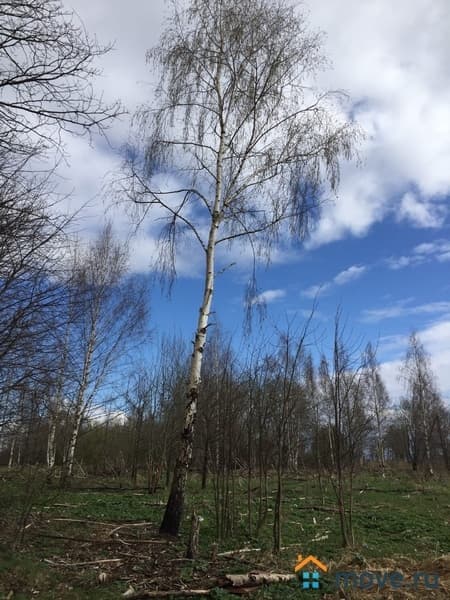 земля под ИЖС, 15 соток