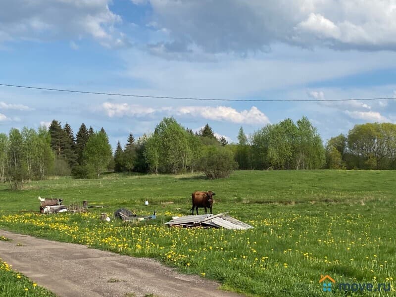 земля под ИЖС, 25 соток