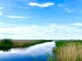 Объявление о продаже земли под ИЖС, 20 соток. Фото 9