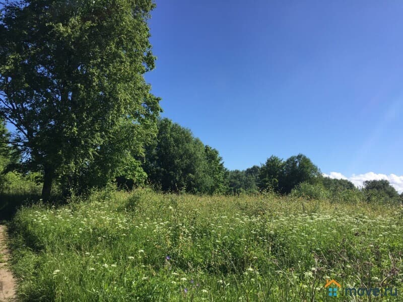 земля под ИЖС, 20 соток