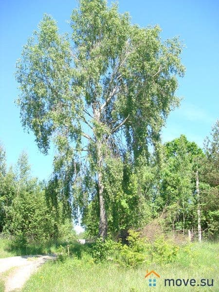 земля под ИЖС, 7 соток