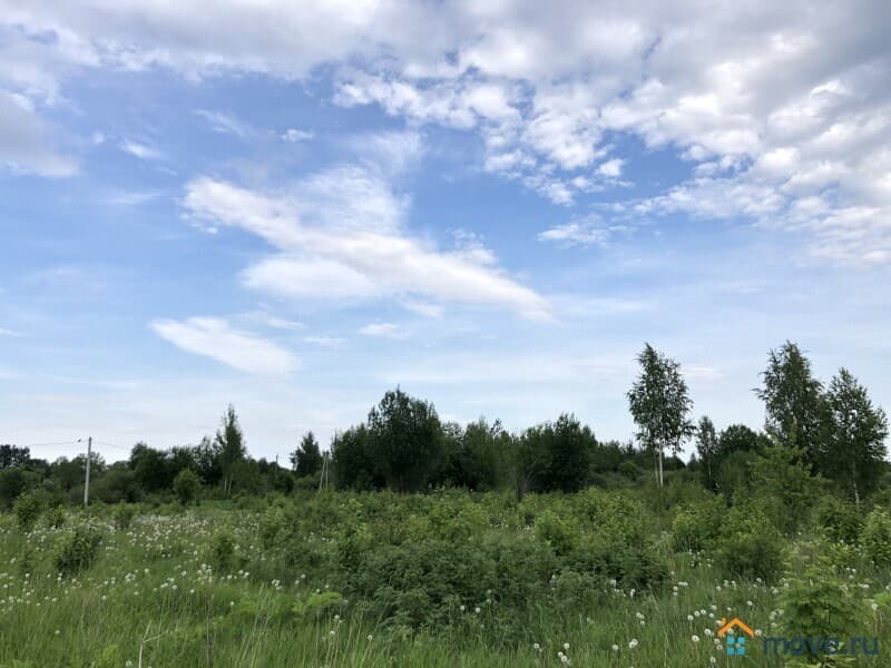 земля под ИЖС, 25 соток