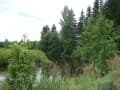 Продажа земельного участка, 0.9 га. Фото 7