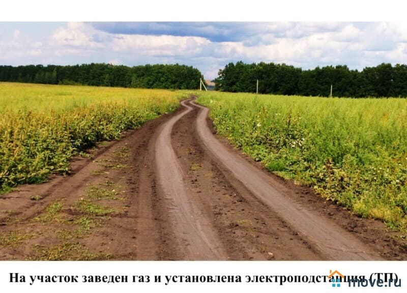 земельный участок, 2.6 га