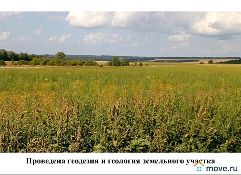 земельный участок, 2.6 га