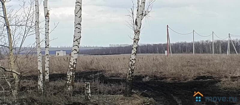 земельный участок, 2.6 га