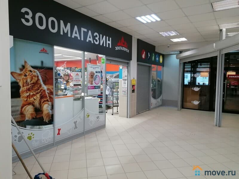 торговое помещение, 296 м²