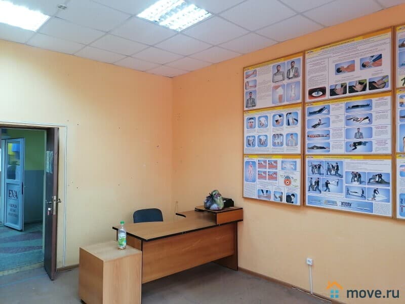 офис, 20 м²