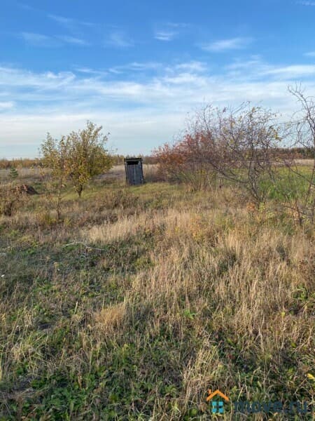 дом, 55 м²