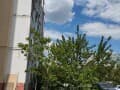 Продаем однокомнатную квартиру, 40 м², этаж 4 из 10. Фото 2