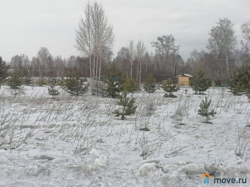 земля с/х назначения, 9 соток