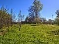 Продаем земельный участок, 2 га. Фото 4