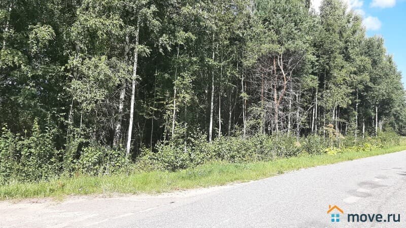 земельный участок, 30 соток
