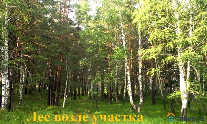 земля под ИЖС, 36 соток