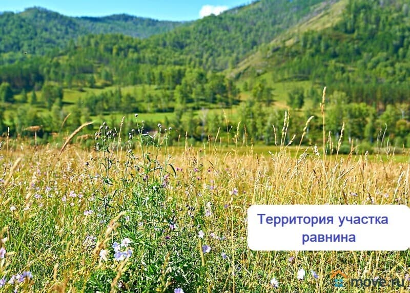 земельный участок, 3 га