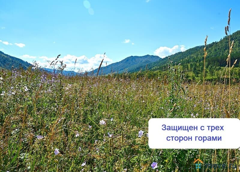 земельный участок, 3 га