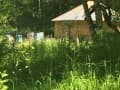 земля с/х назначения, 50 соток